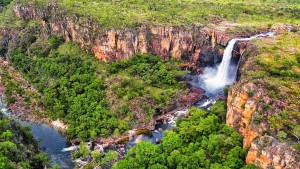 Kakadu4